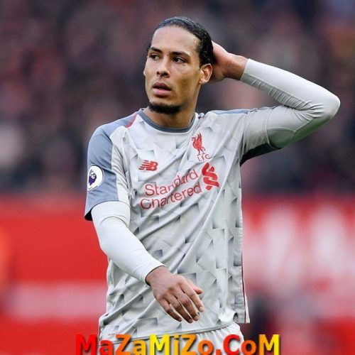 صورة فان ديك ويكيبيديا