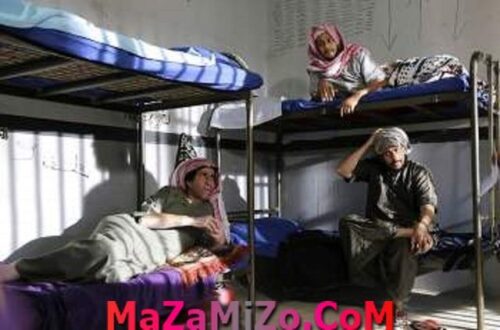 أبطال مسلسل على جنب