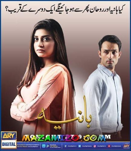 قصة مسلسل هانيه بالتفصيل