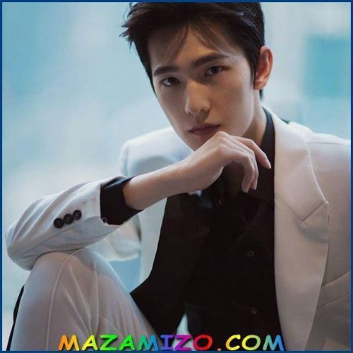 معلومات عن يانغ يانغ