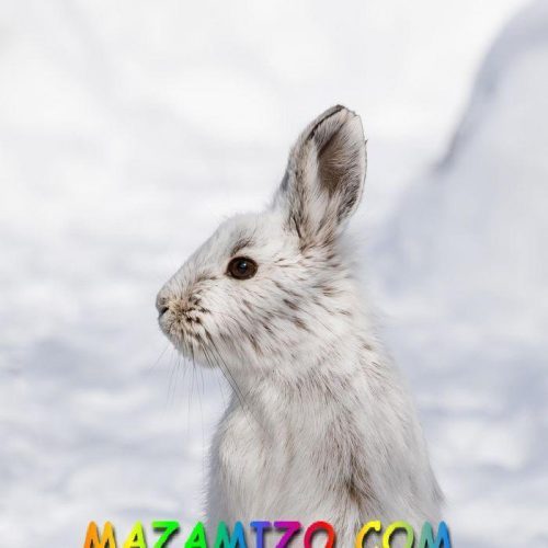 حظك اليوم برجك ليوم الثلاثاء 19 يناير