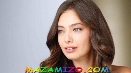 قصة مسلسل في نهاية الليل لنسليهان