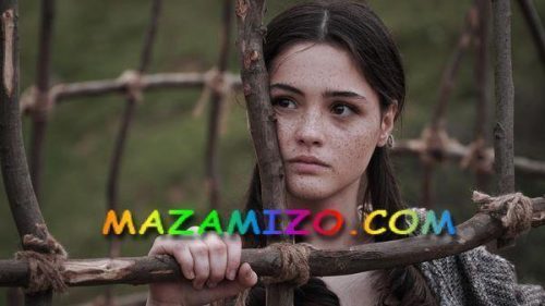 داريا بينار اك