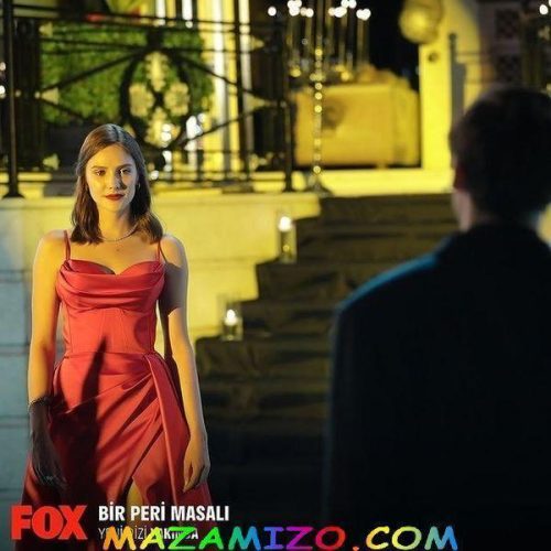 قصة أمير بالتفصيل أميرة حافية القدمين